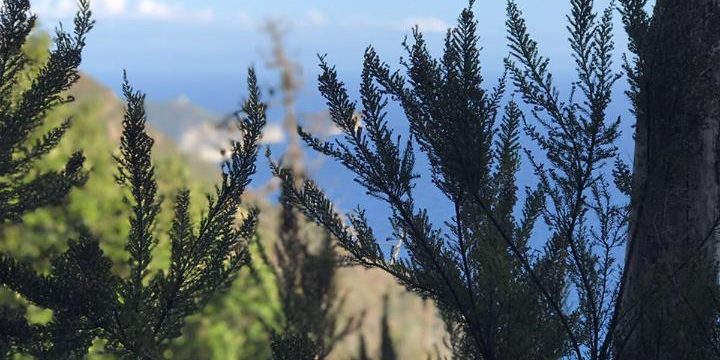 21231317_1648516161833655_2252563954350221772_n