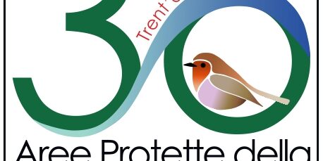 Logo Trentennale per Ledwall_page-0001