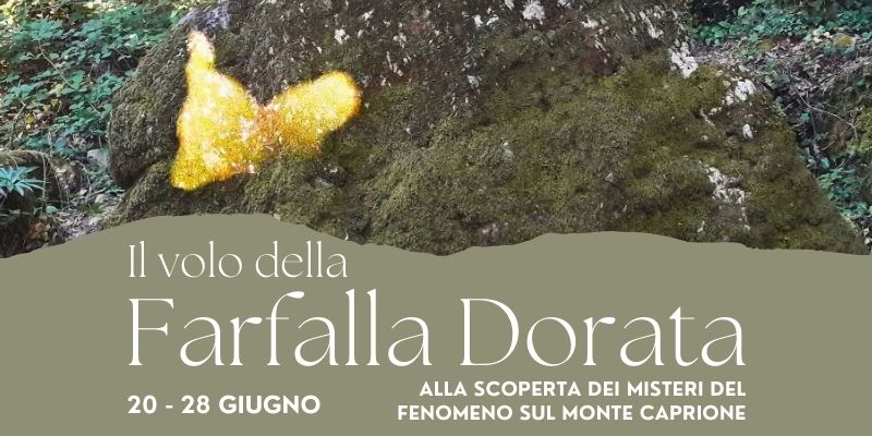 Il Volo della Farfalla Dorata – Copertina sito 800×400 2025