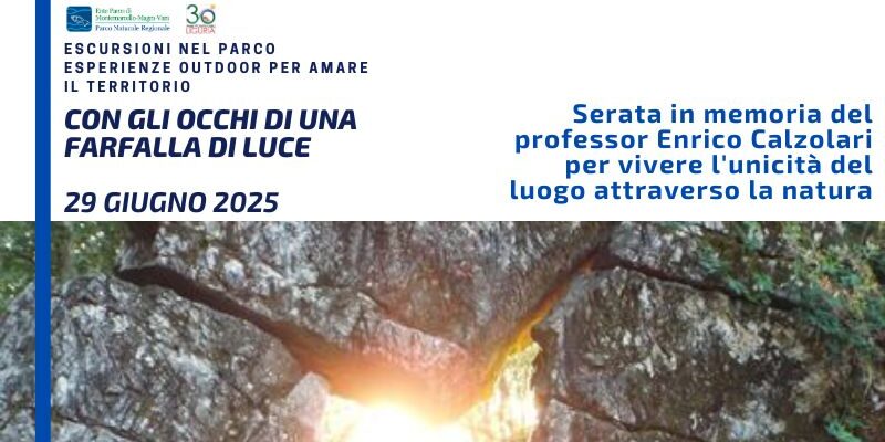 locandina sito 29giugno