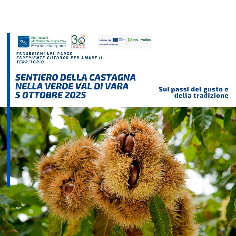 DOMENICA 5 OTTOBRE 2025