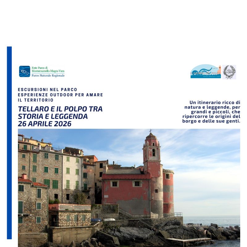 DOMENICA 26 APRILE 2026