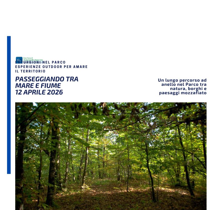 DOMENICA 12 APRILE 2026