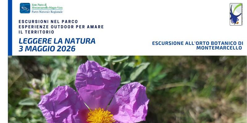 loc sito 3 maggio