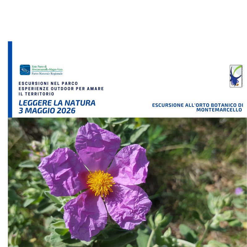 DOMENICA 3 MAGGIO 2026
