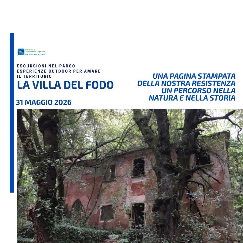 DOMENICA 31 MAGGIO 2026