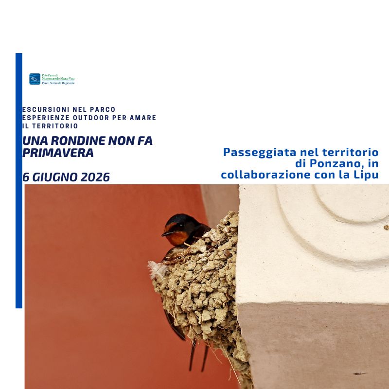 SABATO 06 GIUGNO 2026