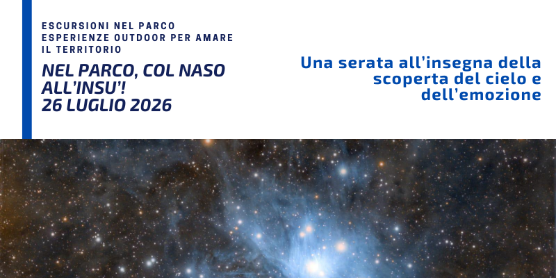 domenica 26 luglio 2026