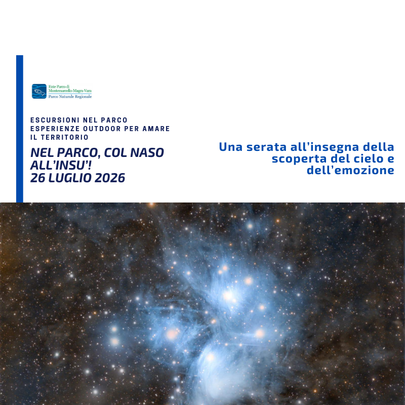NEL PARCO COL NASO ALL'INSU'! Una serata all’insegna della scoperta del cielo e dell’emozione