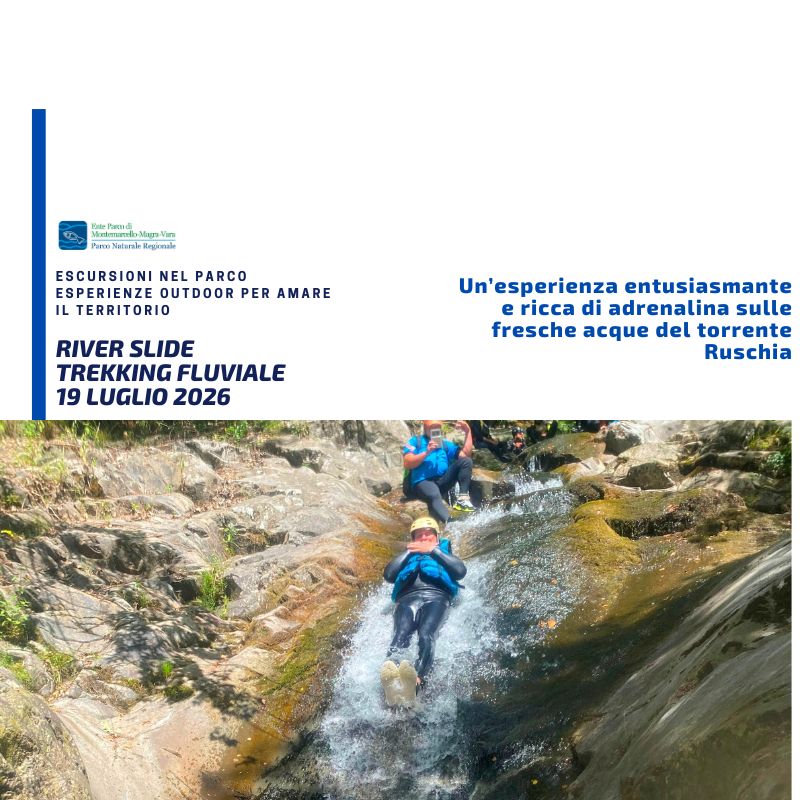 DOMENICA 19 LUGLIO 2026
