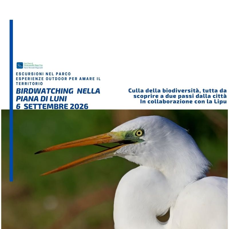DOMENICA 6 SETTEMBRE 2026