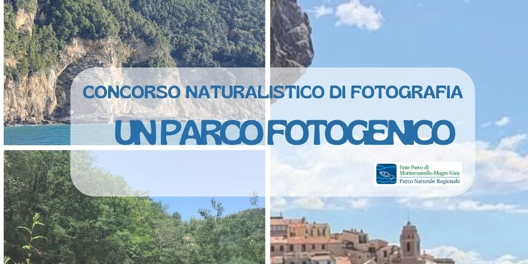 concorso foto x