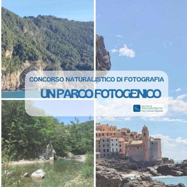concorso foto x