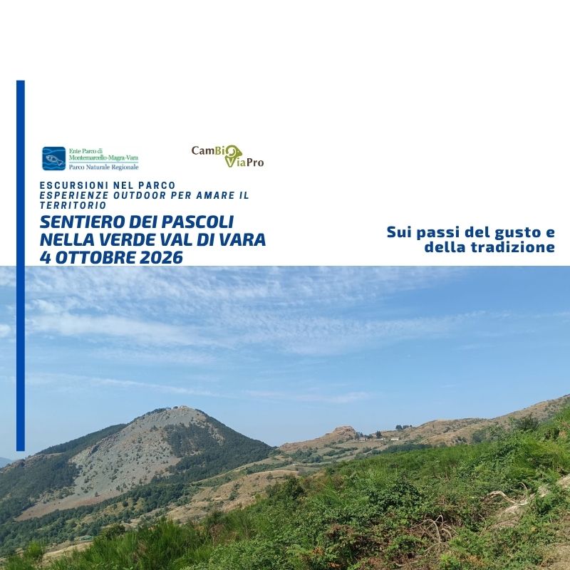 DOMENICA 4 OTTOBRE 2026