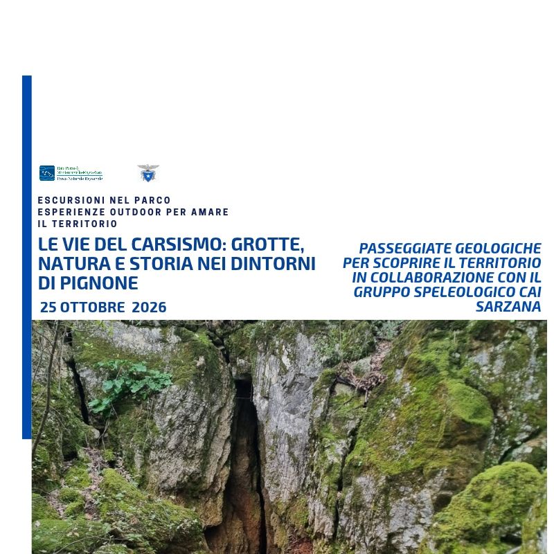 DOMENICA 25 OTTOBRE 2026