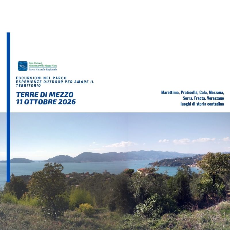 DOMENICA 11 OTTOBRE 2026